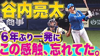 【6年ぶり一発】谷内亮太『この感触、すっかり忘れてました』