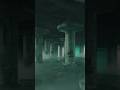 Trance meets Techno meets Electrodub? Venatio Fungorum - Zoonra & Eclectus #trance #dub #techno