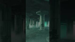 Trance meets Techno meets Electrodub? Venatio Fungorum - Zoonra &amp; Eclectus #trance #dub #techno