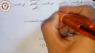 اختبار التربية المدنية # النموذج الثاني # للسنة الثالثة