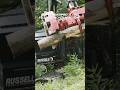 Right of way clearing with a feller buncher (TimberPro TL735D) #clearing #treework #forestry