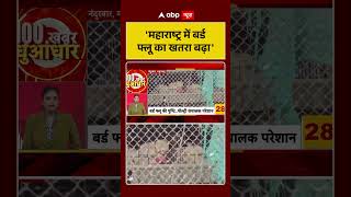 Breaking News:'महाराष्ट्र में बर्ड फ्लू का खतरा बढ़ा' | #ytshorts #viralnews #birdflu