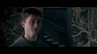 Michael Potter and the Order of the Paper