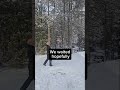 DIY Bird Feeder → Blue Jay Finds It After Snowstorm 🐦❄️