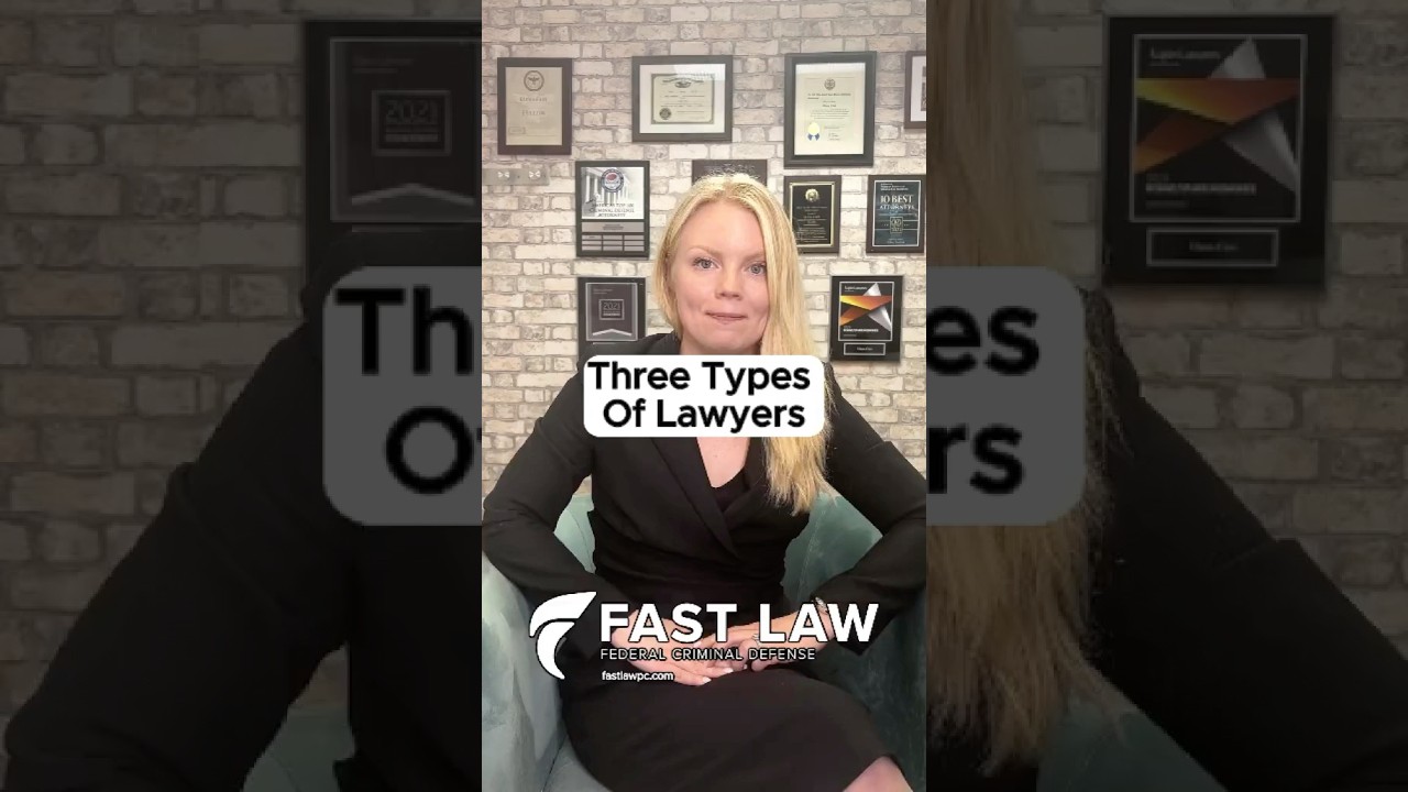 ⚖️ The 3 Types of Criminal Lawyers EXPLAINED | Choose the Right One for Your Case 🧠🚨