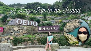 Discover South Korea Series 19 || Oedo Island & Haegeumgang