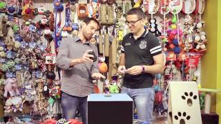 Giochi per cani: attivazione mentale, movimento e idee per giocare in casa screenshot 4