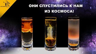 Авторские шоты / Ром, виски, космос и много орехов!