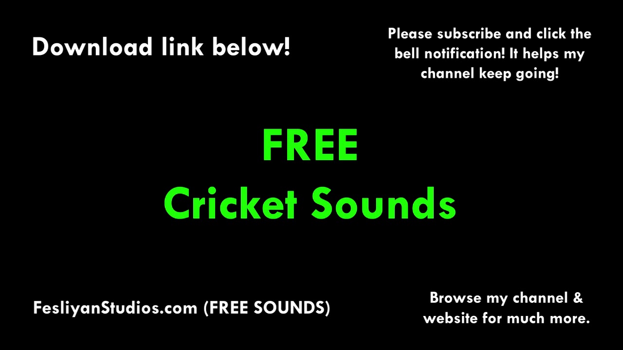 Free Crickets Sound Effects | MP3 Download | FStudios