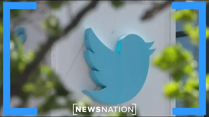 Stanford professor comments on Twitter 'shadowbann...
