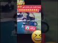 المعنى الحقيقي لكلمه العار مايموت 