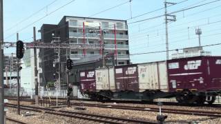 2074レ EF66 111 鮫 大久保付近 2013年5月