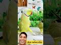 parrot | talkingparot | nonstoptalkingparrot | greenparrot | mithukibatain | azharparrot | birds |