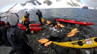 Kayaking and Whales in Antarctica: Booth Island