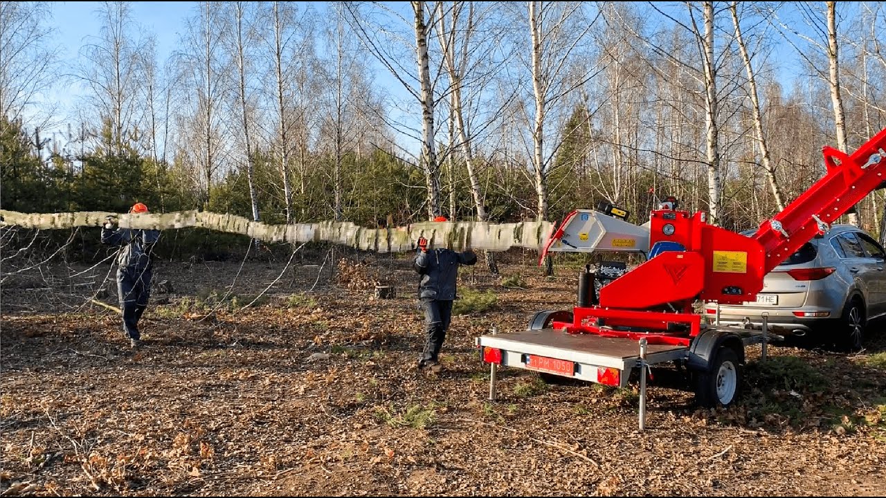 🌲Cuts everything! Incredible Wood Chipper Working!