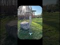 Outdoor Solar Mosquito Killer: Light, Zap & Charge All in One!