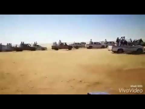 قبيله الكبابيش شمال كردفان 