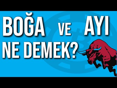 Kripto Paralarda AYI ve BOĞA Kavramı | Ayı ve Boğa Sezonunda Bunlara Dikkat Et