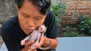 It Looks Like My Baby Monkey Is Talking About Something