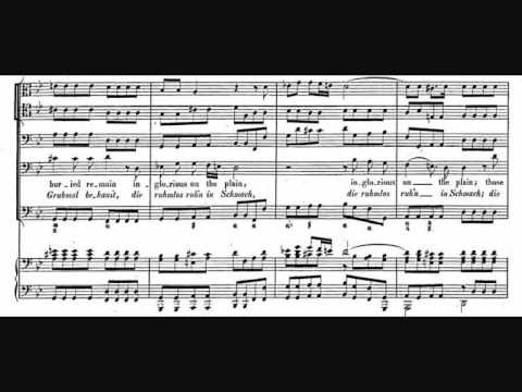 Verdi Prati Handel Pdf To Jpg