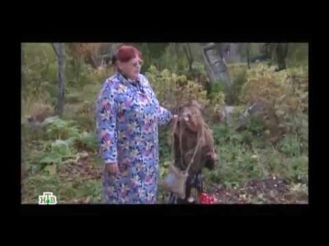Таинственная Россия, Ивановская область, Баба Яга
