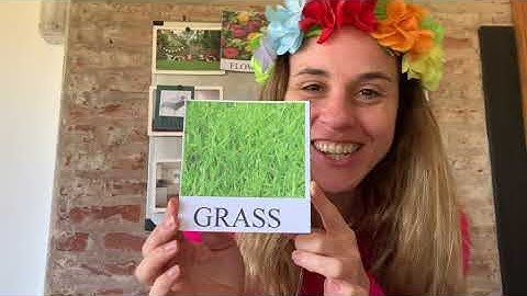 Unit 4 - Lesson 3 - Part 1