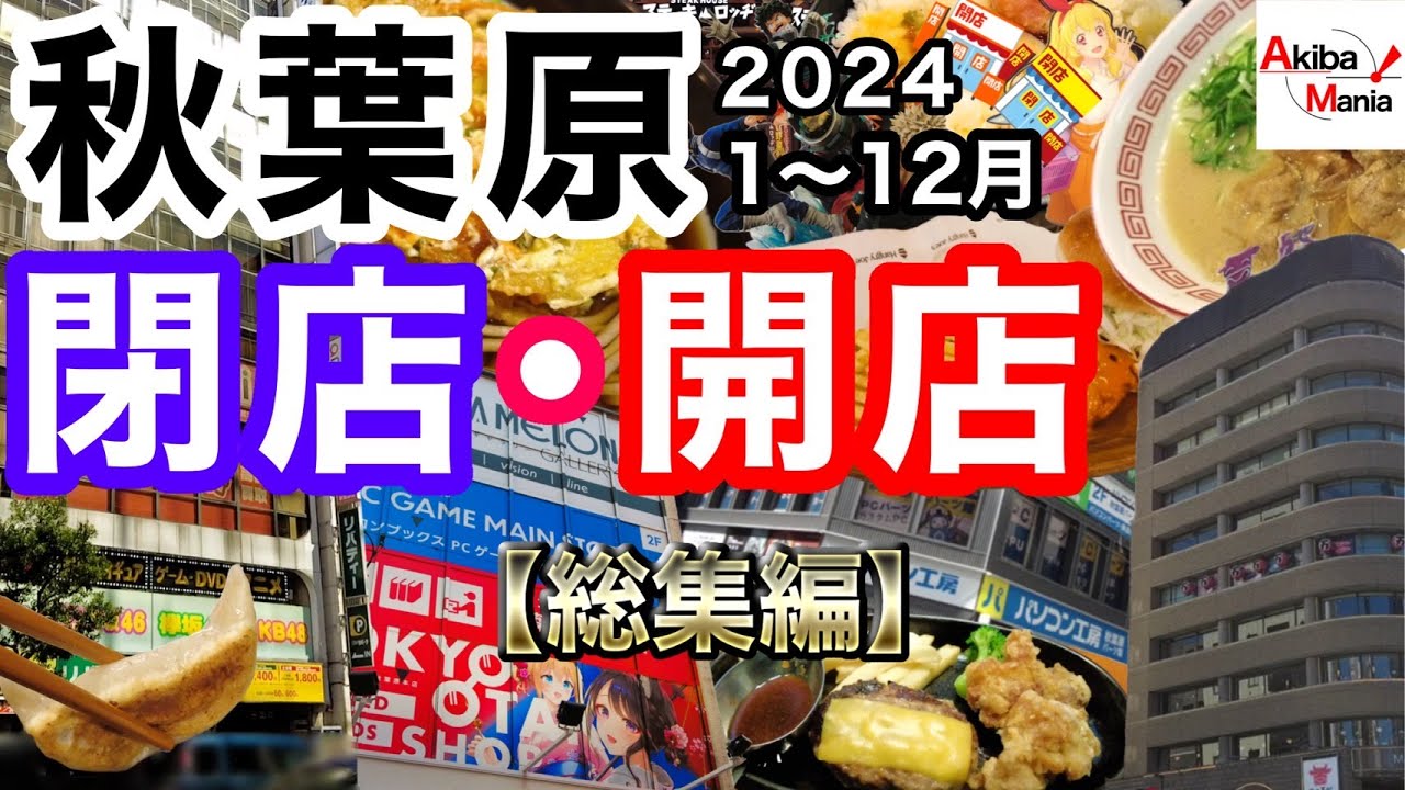 【アキバの2024年がこの一本に！】秋葉原の閉店開店したお店を巡ってみた件！【2024年総集編】