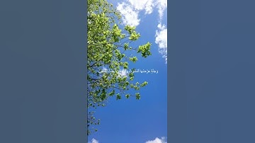 دقيقة من القرآن الكريم بصوت الشيخ ماهر المعيقلي سورة آل عمران #قرآن #religion #قرآن_كريم #قران