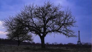 Sony A6400 8K UHD timelapse