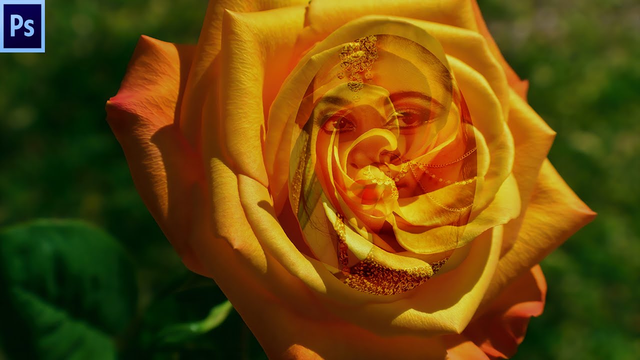 Image of flowers YouTube