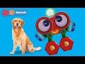 Youtube Thumbnail title