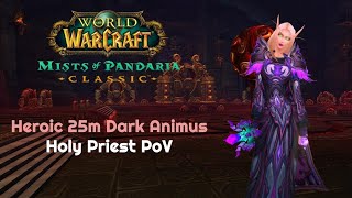 Heroic 25m Dark Animus Holy Priest PoV | Throne of Thunder