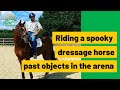 Riding a spooky dressage horse past objects in the arena