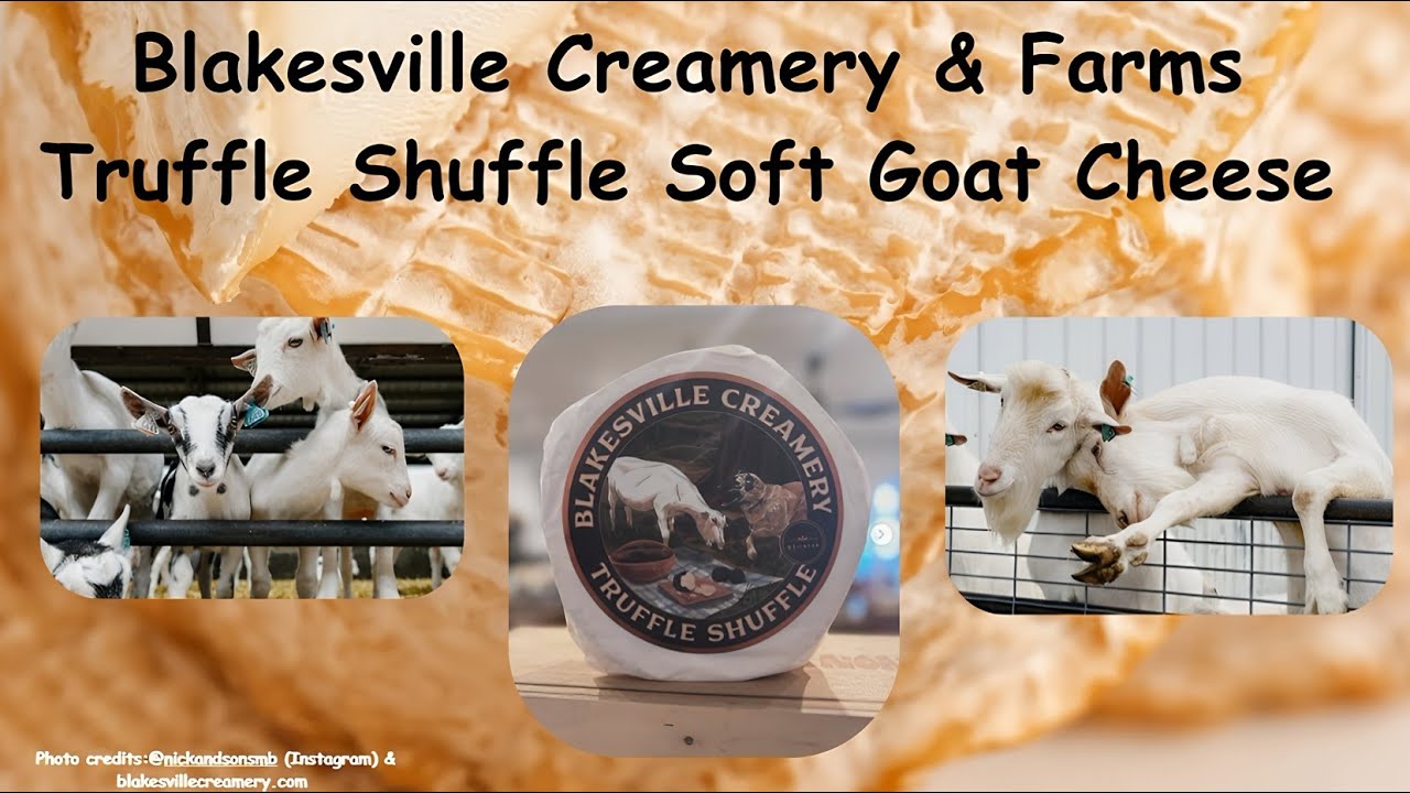 Blakesville Creamery & Farms  Truffle Shuffle Soft Goat Cheese (Wisconsin)
