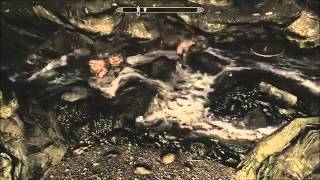 dancing bug in Skyrim
