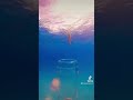 メッチャおすすめ大人の海の遊び方