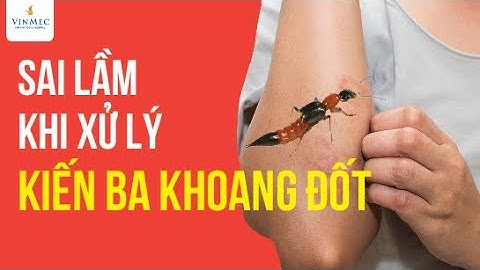 Sai lầm khi xử lý kiến ba khoang đốt| BS Nguyễn Thanh Vân, BV Vinmec Phú Quốc