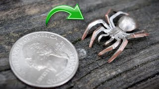 I turn a Coin into a tiny Spider Sculpture