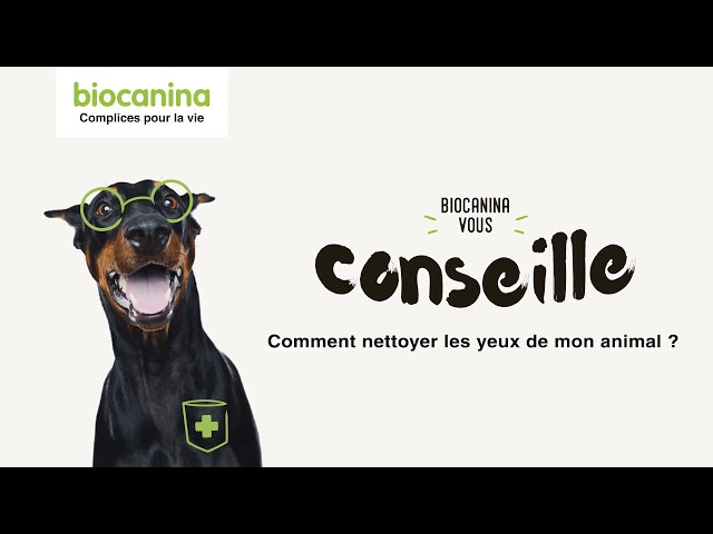 Comment bien laver son chien ? - Biocanina