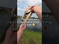 You’re not a bad fisherman❤️❤️ #fishing #bigfish #fisherman #bassfishing #catfishing #viral #fyp