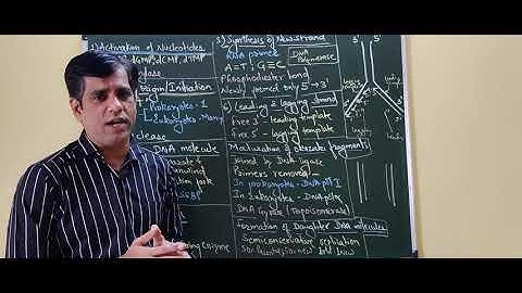 DNA replication #Micro30 DNA polymerase multiple choice questions MCQ biology molecular biology