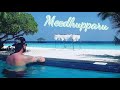 ADAARAN SELECT MEEDHUPPARU: Water Villa Tour, Snorkelling & Dolphin Safari! 🇲🇻