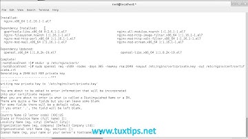 How to setup Nginx HTTPS server on CentOS 7 linux.