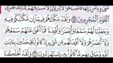 سورة الاحقاف الشيخ علي  عبدالرحمن الحذيفي صفحة ٥٠٥