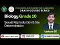 Sexual Reproduction & Sex Determination | Biology | Grade 10 | Crash Course Series | FDE
