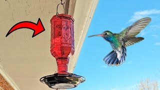 Attract Vibrant Hummingbirds THIS Red Glass Feeder