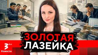 Гастарбайтеры из Центральной Азии в Литве могли получить миллионные пособия за детей-призраков