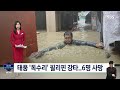 태풍 ´독수리´ 중국 강타…역대 두 번째로 강력한 태풍 / SBS 8뉴스