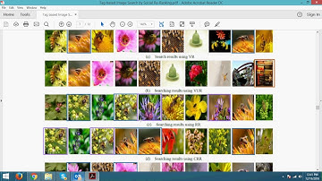 Tag Based Image Search by Social Re ranking