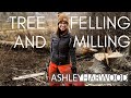 Ashley Harwood Learns to Fell a Giant Ash Tree!